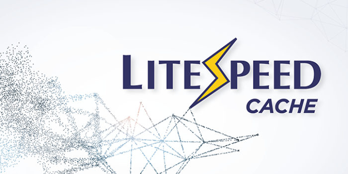 litespeed cache