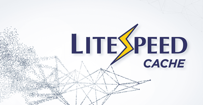 litespeed cache