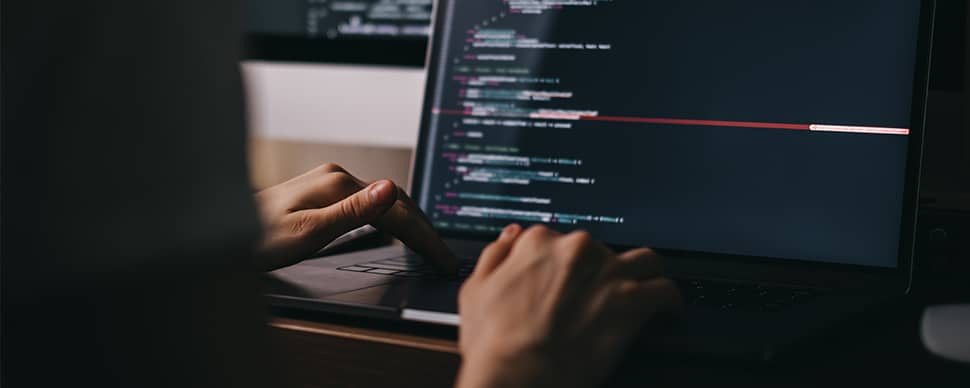 Web Developer Web Developer