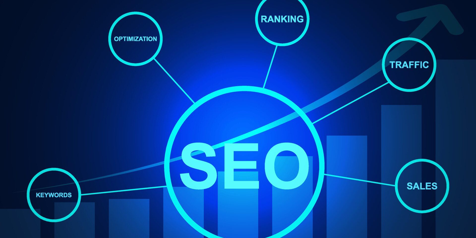 seo search engine