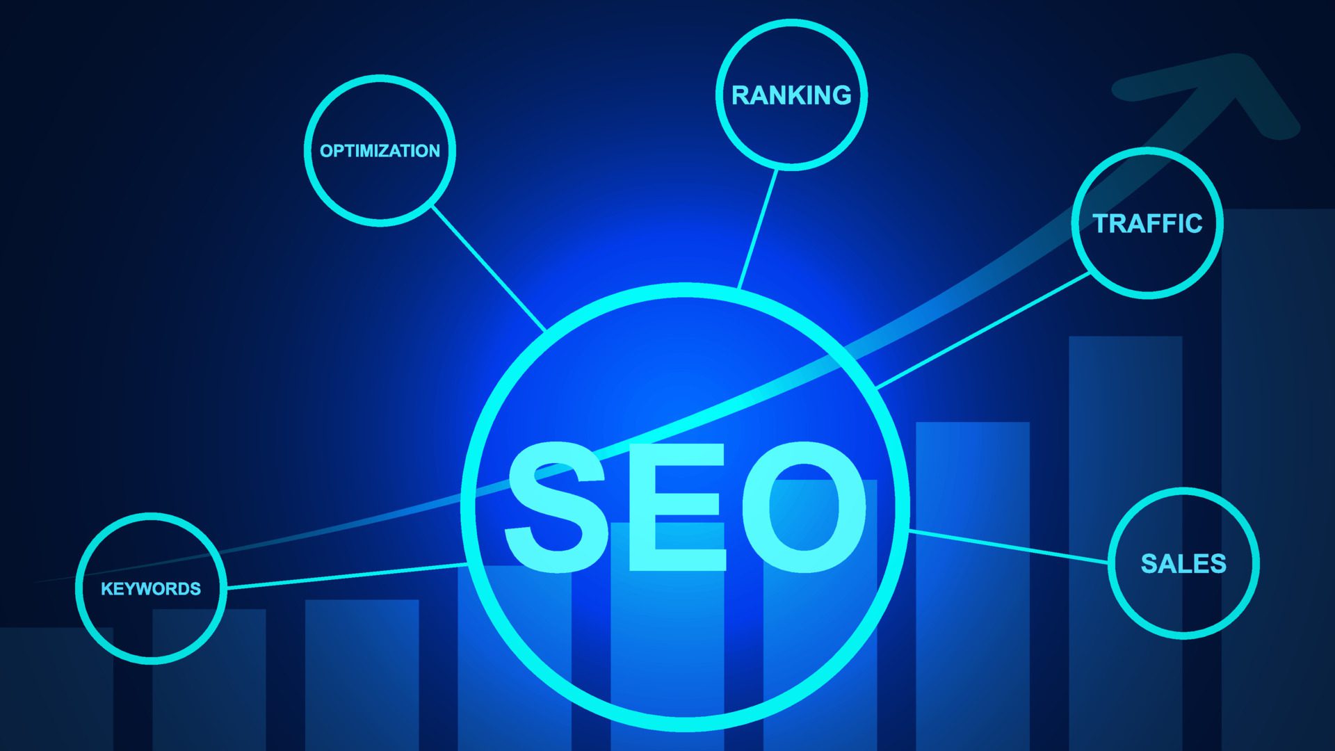 seo search engine